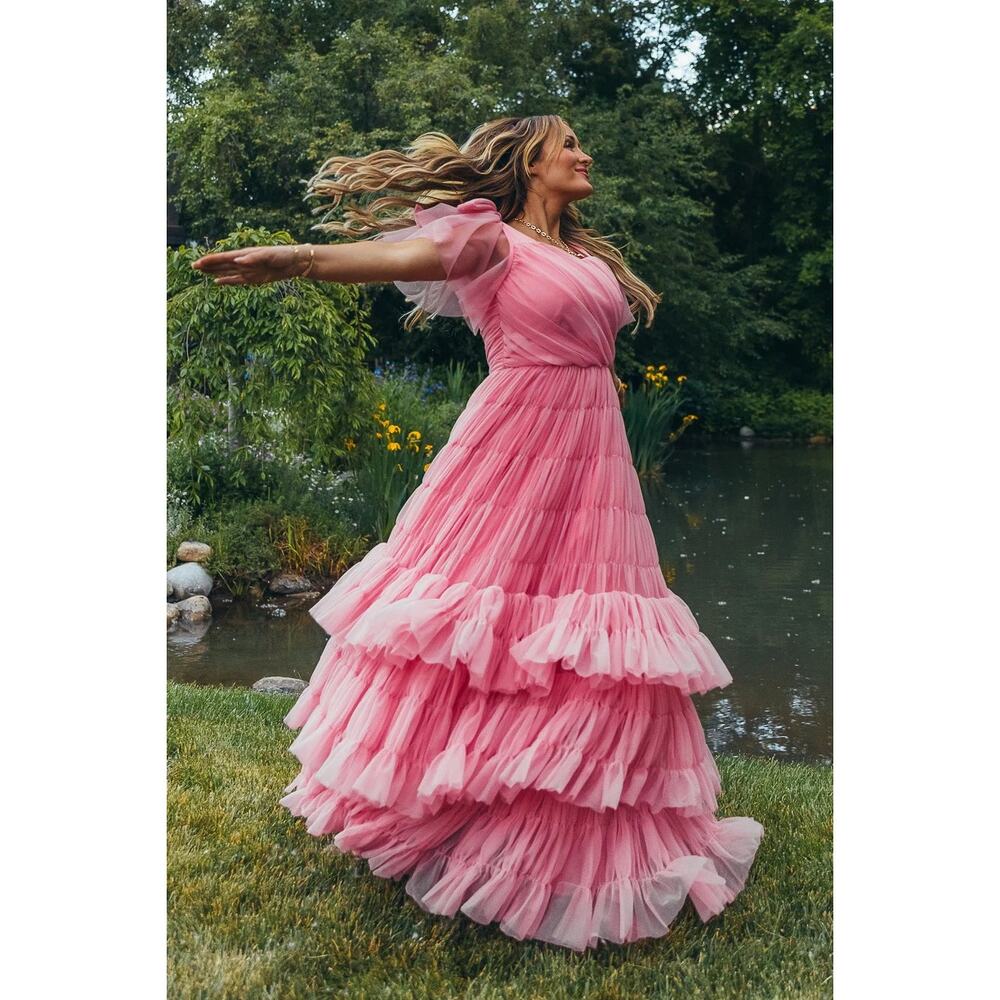 Ivy City Co Hermione Dress Pink Size 10